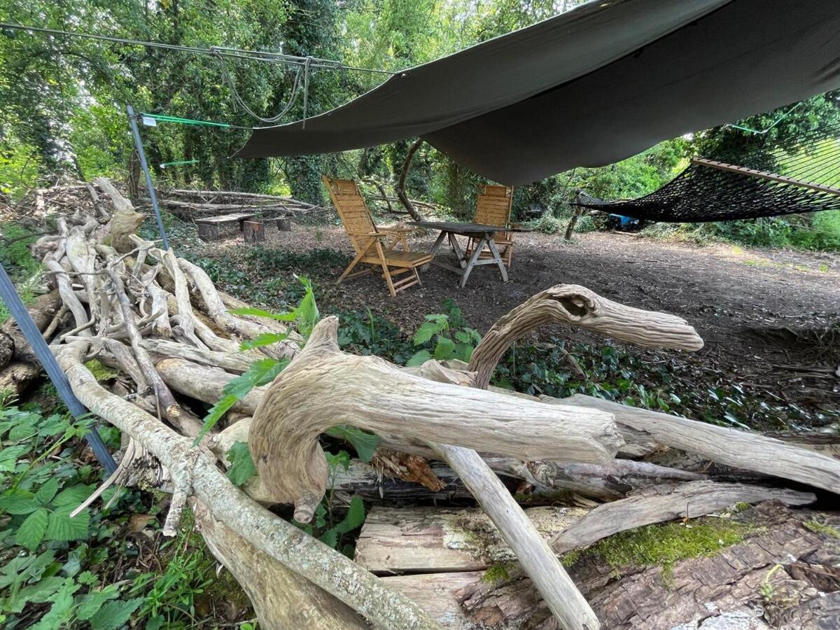 Dutch Cruiser Ship On A Tranquil Secluded River トンブリッジ エクステリア 写真